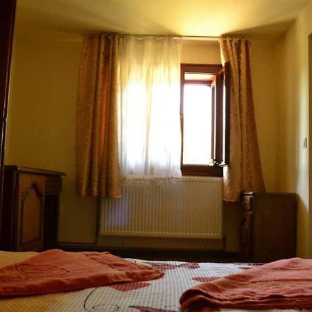 ホテル Casa Din Barsana Bîrsana エクステリア 写真